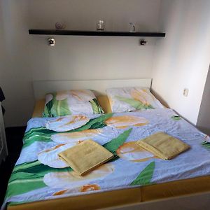 Apartman Katty