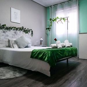 Bioparco Apartment