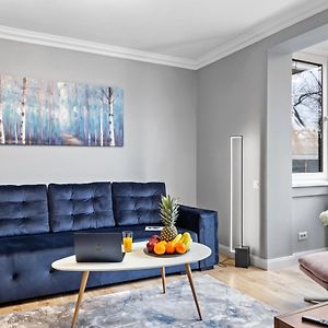 Comfort By Art City