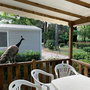 Mobil Home Camping Argeles Sur Mer