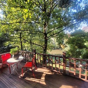 Studio 50M2 Au Bord De L'Eau A Strasbourg