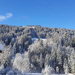 Appartement Les 3 Cols Morzine, 2 Pieces, 2 Personnes