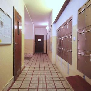 Golden Sunny Apartment, Centre, For 3 People