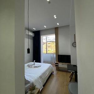 Studio Lit King-Size