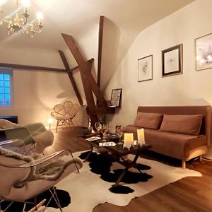 Spacieux appartement au pied du château et de la Loire