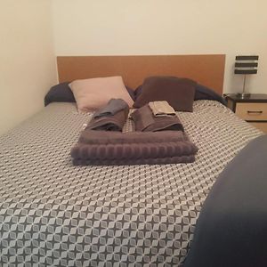 Studio Lit Queen-Size