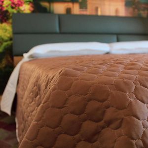 Lion Luxury Rooms