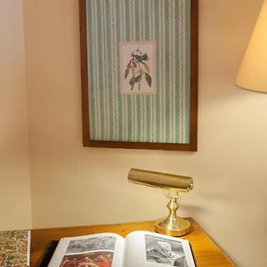 Chambre Simple de Luxe