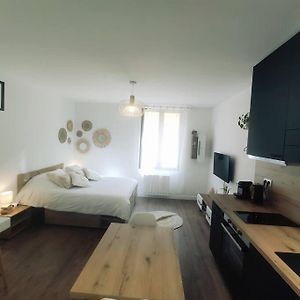 Annecy Vieille Ville, Superbe Appartement Au Calme