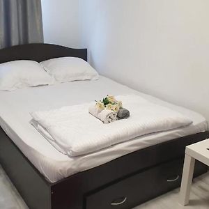 Appartement Studio