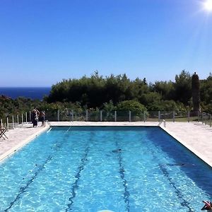 Le Poseidon Vue Mer