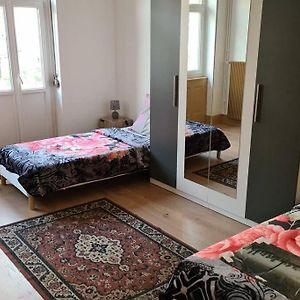 Grand 4P Strasbourg Orangerie 7 Personnes Proche D Allemagne