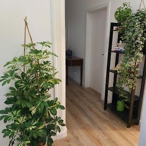 Dormitory Room Mixed