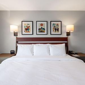 Chambre Accessible aux Personnes à Mobilité Réduite Traditionnelle Lit King-Size