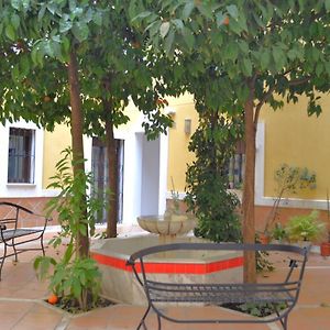 Sunshine Patio Del Consistorio
