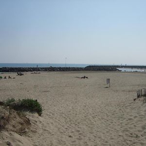 T2 Lumineux Bord De Mer
