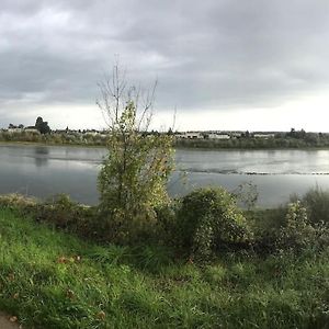 Nid Douillet Bord De Loire