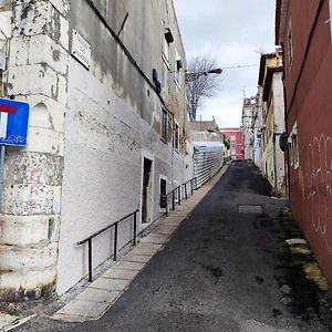 Lisbon, Renewed T1 Apartment With Pateo Near Martires Da Patria