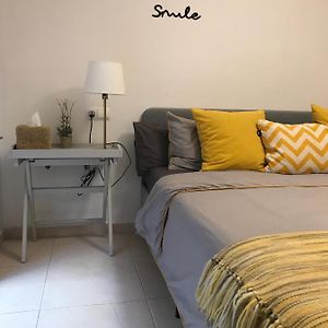 Designer'S Flat - 3 Bdrm - Wifi - Best Location