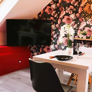 Romantic Studio Eve - Proche Gare - Netflix - Wifi