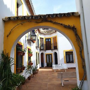 Atico Muy Luminoso En El Casco Antiguo