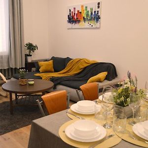 Spacious City Center Family 2 Bedrooms Apartment