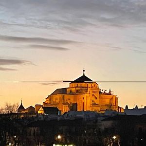 Apartamento Zoco Cordoba
