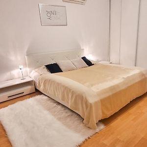 Modern & Cozy Apartment Near Hockey & Football Arena