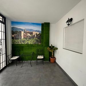 Appartement Rez-de-Chaussée