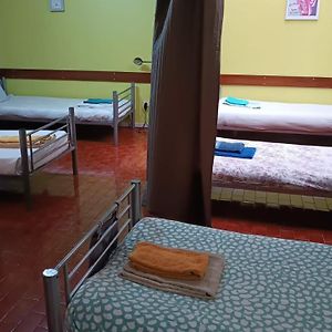 City Drops Hostel
