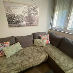 Appartement Studio