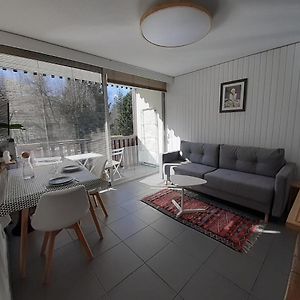 studio quartier calme centre ville vue mont Blanc