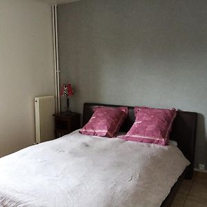Chambre Double Rosalie En Colocation