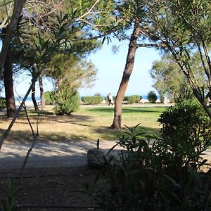 Appartement Argelès-sur-Mer, 2 pièces, 5 personnes - FR-1-309-254
