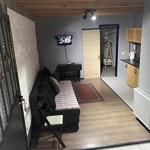 Appartement à 1 Chambre à Coucher au Sous-Sol