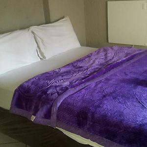 Suite Exécutive