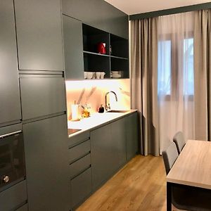 Deluxe  One-Bedroom Ground Floor Apartment