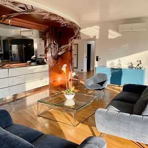 Villa Colmar Centre Avec Spa Et Double Parking