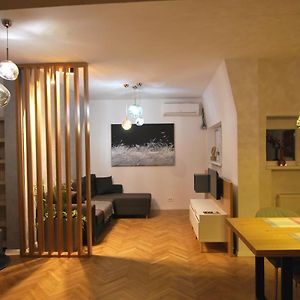 New Apartment In Berindey Villa - Historical Center, Universitate