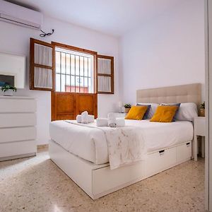 Canarios Sweet Home