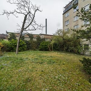 Homely Apartment - 10 Minutes To Stephansplatz
