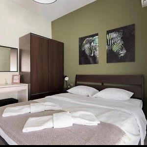 4 Bedroom Penthouse In Center Of Athens