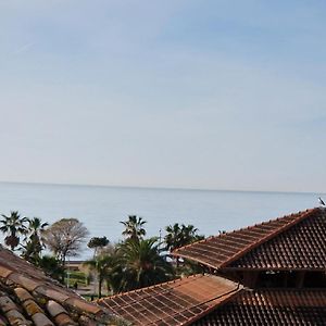 Le Palmaro