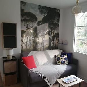 Studio Lit King-Size