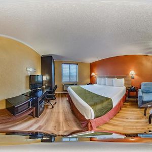 Suite Lit King-Size