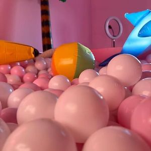 #1 Most Viral Pink House W Ball Pit