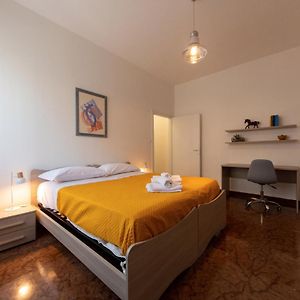 Housmart Cimabue 1