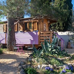 Bungalow de Luxe