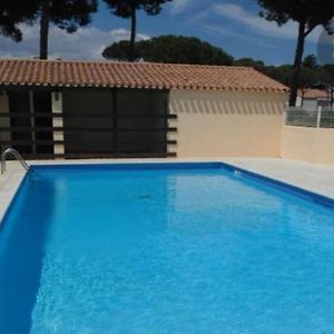 Apt T2/4 Pers/ Rez De Jardin\Pinede\Piscine