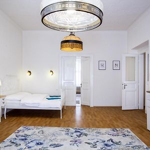 Large 3 Bdr Apt In The Heart Of Prague